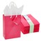 20-Pack Small Paper Gift Bags with Handles, 5.5x2.5x7.9-Inch Goodie Bags with 20 Sheets White Tissue Paper and 20 Hang Tags for Small Business (Hot Pink)